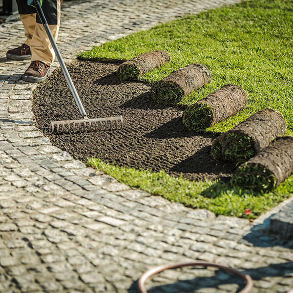 Markert Garten- und Landschaftsbau - Anlegen von Rasen neben neu gemachtem Weg