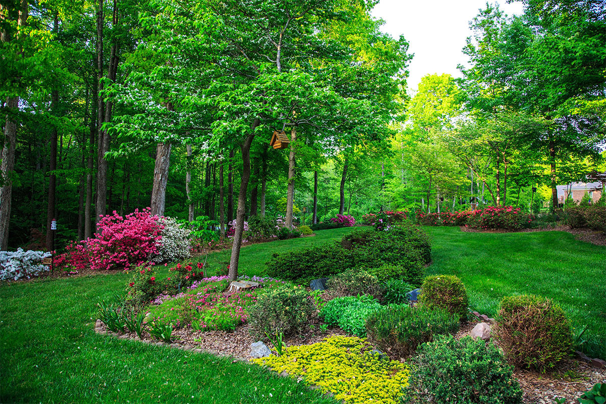 Markert Garten- und Landschaftsbau - Parkanlage mit Rabatten, Rasen und Bäumen