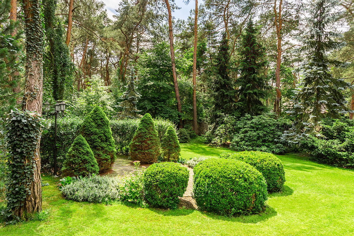 Markert Garten- und Landschaftsbau - Rasen, Bäume und Büsche