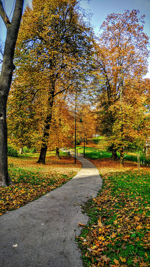 Markert Garten- und Landschaftsbau - Weg durch herbstliche Parklandschaft