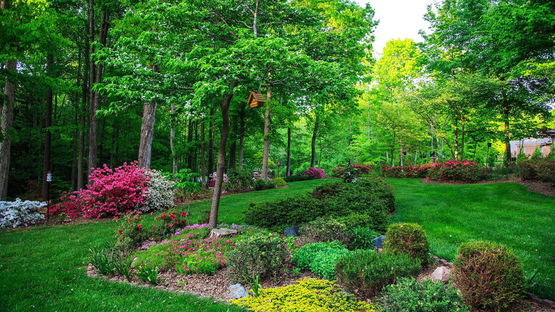 Markert GaLaBau - Garten- und Landschaftsbau - grüne Gartenanlage mit Bodenbewuchs, Bäumen und Wegen